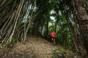 BIB: 
                            <button type="button" onclick="openModal(19395924)" class="btn btn-primary btn-sm float-right btn-popup" data-toggle="modal" data-target=".modal-high-quality">
                        <i class="fas fa-shopping-cart"></i> Add to Cart
                    </button>
                                            <button type="button" onclick="isThisMe(19395924, true)" class="btn btn-success btn-sm float-right btn-popup btn-isme hidden" data-toggle="tooltip" data-placement="bottom" title="นี่คือรูปของคุณใช่ไหม คลิกที่นี่เพื่อเอาเข้าอัลบั้ม">
                        <i class="fas fa-plus"></i> Add to album
                    </button>
                    <button type="button" onclick="isThisMe(19395924, false)" class="btn btn-warning btn-sm float-right btn-popup btn-isnotme hidden">
                        <i class="fas fa-ban"></i> Remove from album
                    </button>